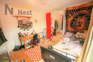 Photo 16- click for photo gallery